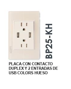 BP25-KH PLACA  CON 2 CONTACTOS Y 2 ENTRADAS DE USB COLORS HUESO MATE